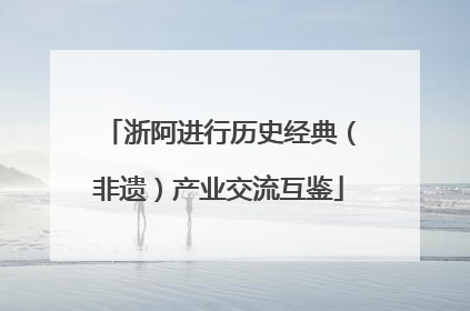 浙阿进行历史经典（非遗）产业交流互鉴